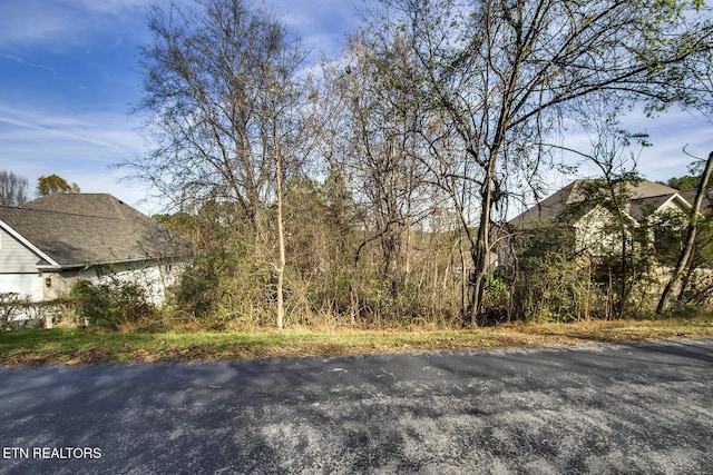 306 Awohili Ln, Loudon, TN 37774 - photo 2