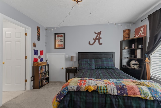 373 Baronswood Dr, Nolensville, TN 37135 - bedroom with carpet and a textured ceiling