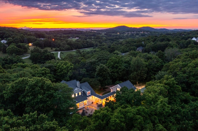 460 Whistler Cv, Franklin, TN 37067 - aerial view of a heavily wooded area