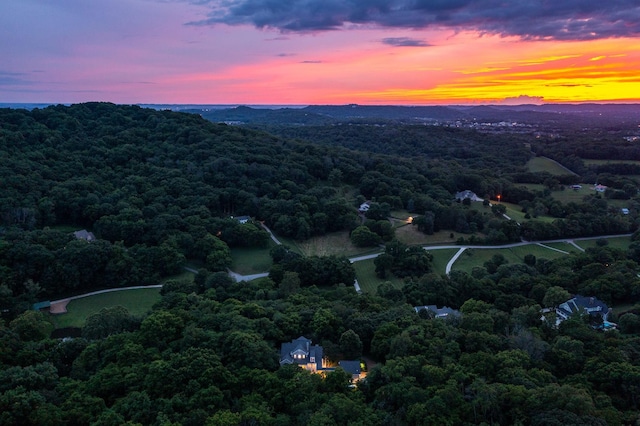 460 Whistler Cv, Franklin, TN 37067 - aerial view at dusk of a wooded view
