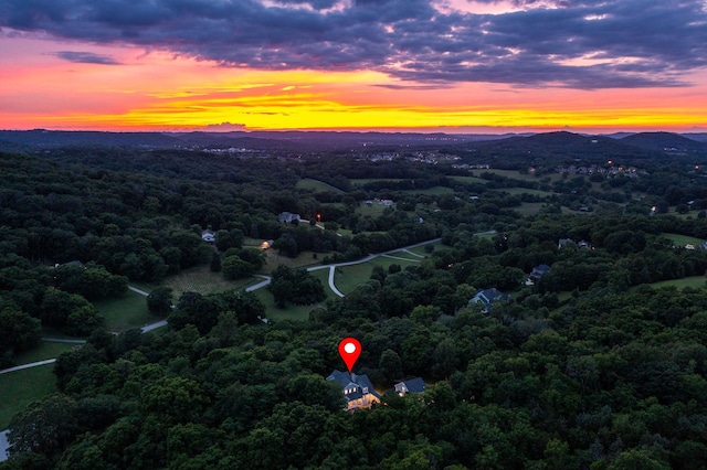 460 Whistler Cv, Franklin, TN 37067 - drone / aerial view of a heavily wooded area