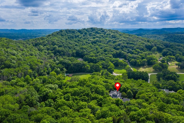 460 Whistler Cv, Franklin, TN 37067 - aerial view of a heavily wooded area