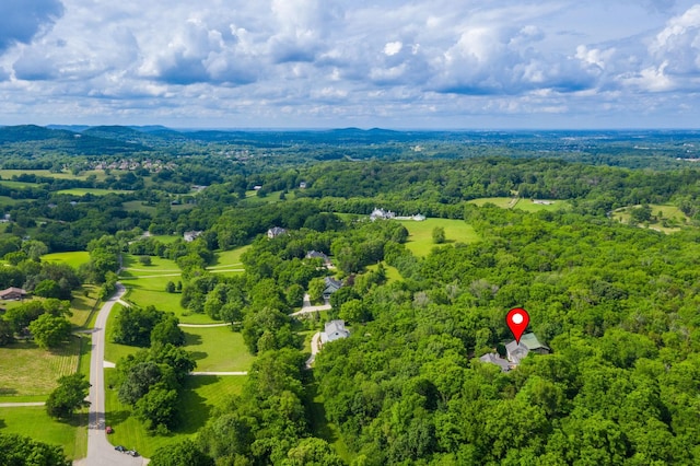 460 Whistler Cv, Franklin, TN 37067 - bird's eye view of a heavily wooded area