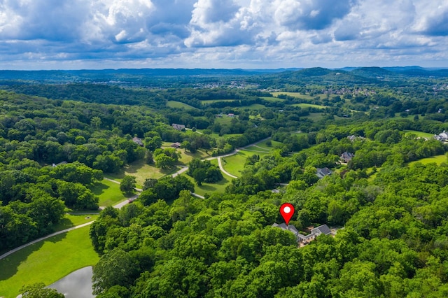 460 Whistler Cv, Franklin, TN 37067 - bird's eye view of a forest