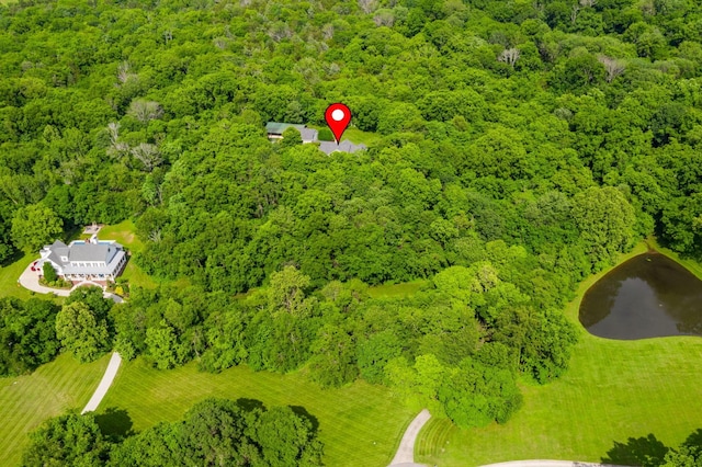 460 Whistler Cv, Franklin, TN 37067 - bird's eye view of a heavily wooded area and a nearby body of water
