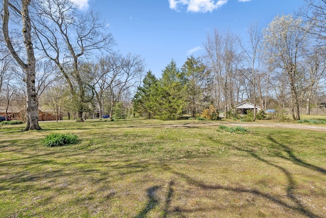 4430 Brush Hill Rd, Nashville, TN 37216 - view of grassy yard