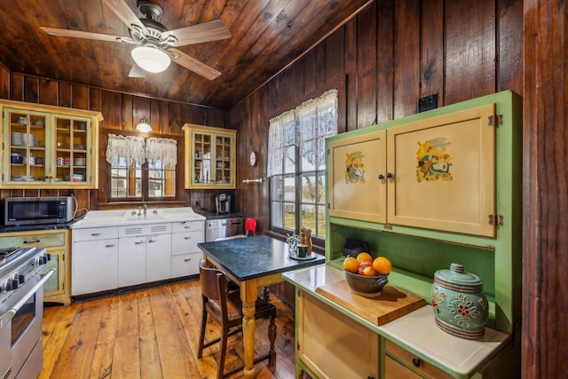 4430 Brush Hill Rd, Nashville, TN 37216 - kitchen with stainless steel appliances, wood ceiling, a sink, wood walls, and light wood-type flooring