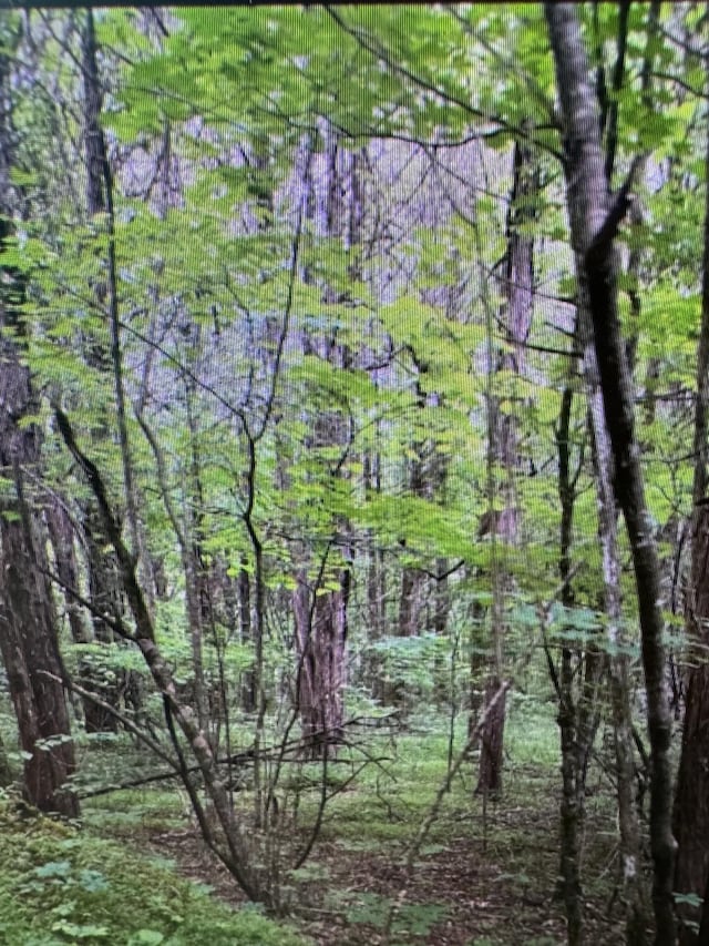 0 Milltown Rd, Lewisburg, TN 37091 - photo 2