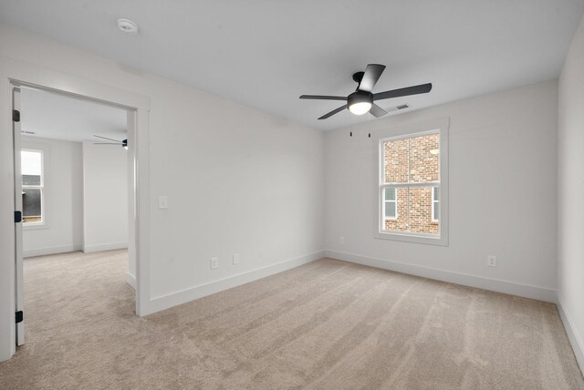 494 Spiderwort Dr, Clarksville, TN 37043 - photo 38