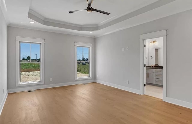 691 Compton Rd, Murfreesboro, TN 37130 - unfurnished room featuring a raised ceiling, ornamental molding, plenty of natural light, light wood-style floors, and baseboards