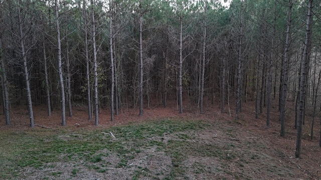 591 Topsy Rd, Hohenwald, TN 38462