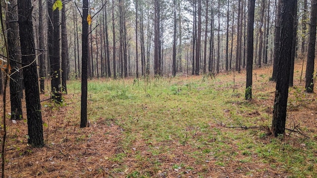 591 Topsy Rd, Hohenwald, TN 38462