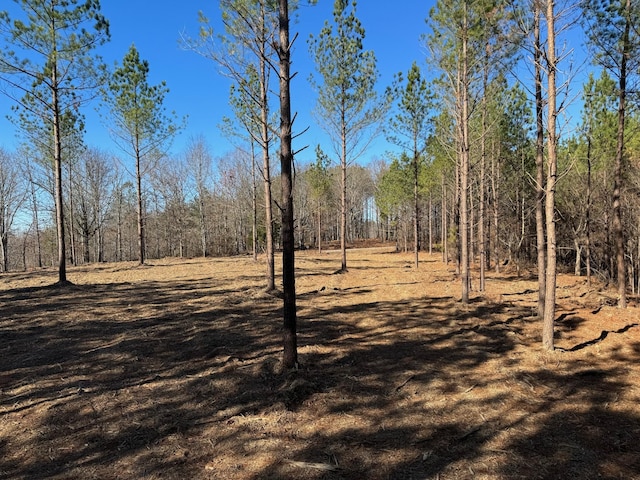 591 Topsy Rd, Hohenwald, TN 38462