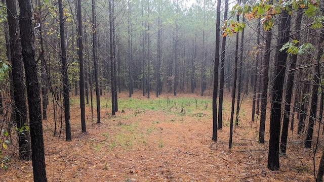 591 Topsy Rd, Hohenwald, TN 38462