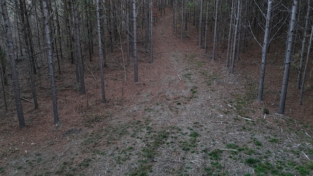 591 Topsy Rd, Hohenwald, TN 38462