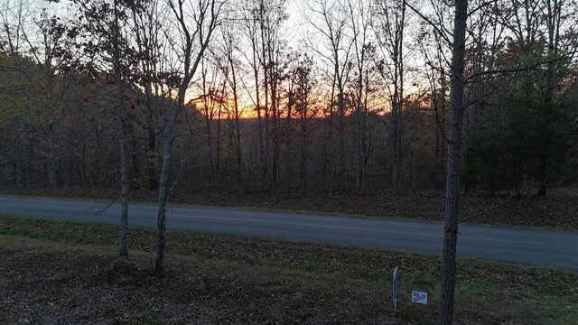 591 Topsy Rd, Hohenwald, TN 38462