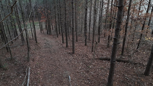 591 Topsy Rd, Hohenwald, TN 38462