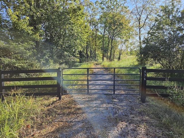 536 Martin Chapel Rd, Portland, TN 37148 - photo 2