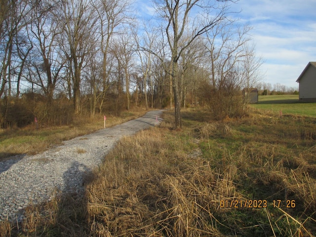 536 Martin Chapel Rd, Portland, TN 37148 - photo 4