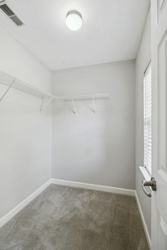 1816 Brentwood Pointe, Franklin, TN 37067 - spacious closet featuring carpet flooring