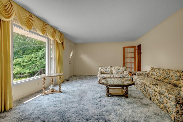 311 Broadview Dr, Dickson, TN 37055 - living area featuring healthy amount of natural light and carpet flooring