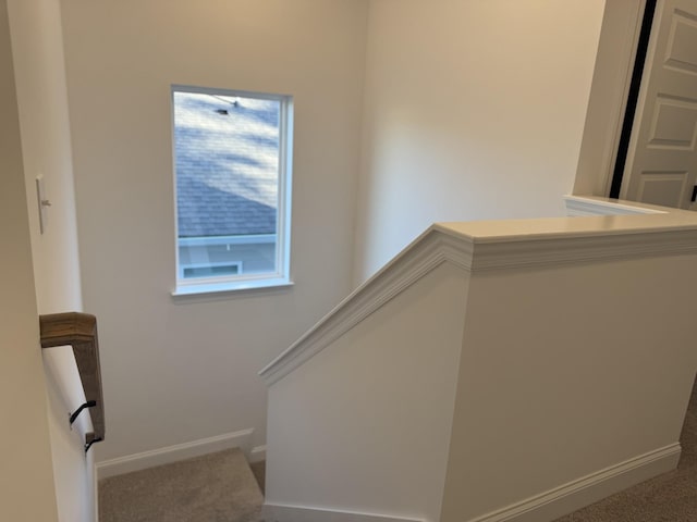 1279 Linn Cove Ct, Gallatin, TN 37066 - stairs featuring carpet floors and baseboards