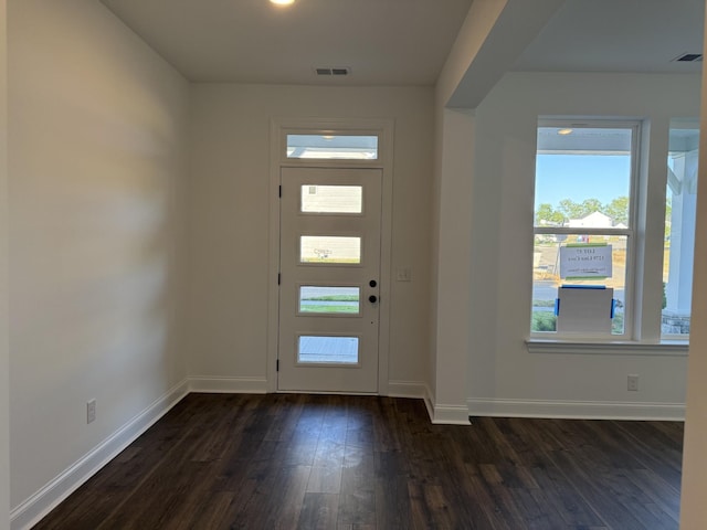 1279 Linn Cove Ct, Gallatin, TN 37066 - entryway with plenty of natural light, dark wood finished floors, and baseboards