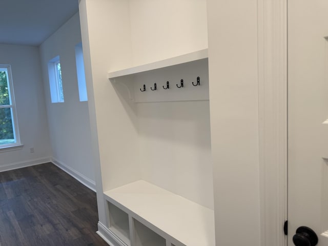 1279 Linn Cove Ct, Gallatin, TN 37066 - mudroom featuring dark wood finished floors and baseboards
