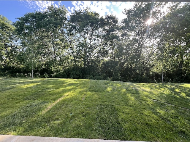 1279 Linn Cove Ct, Gallatin, TN 37066 - view of grassy yard