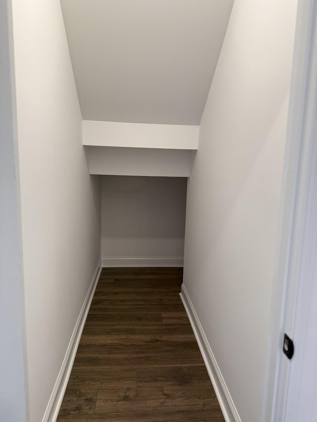 1279 Linn Cove Ct, Gallatin, TN 37066 - walk in closet featuring dark wood-type flooring