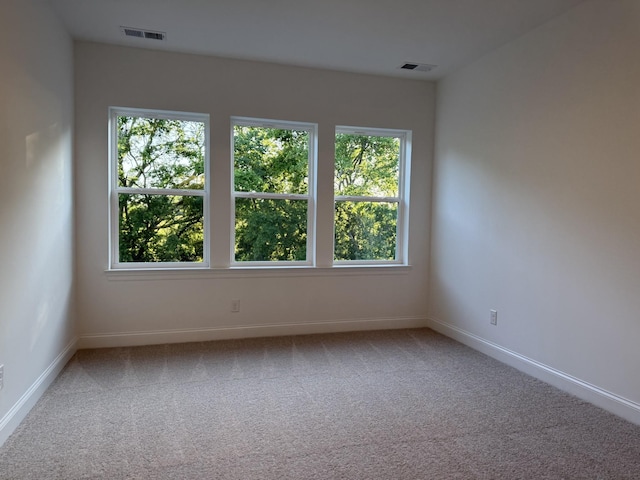 1279 Linn Cove Ct, Gallatin, TN 37066 - empty room featuring healthy amount of natural light, carpet flooring, and baseboards
