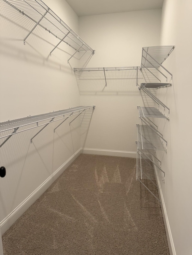 1279 Linn Cove Ct, Gallatin, TN 37066 - walk in closet featuring carpet flooring