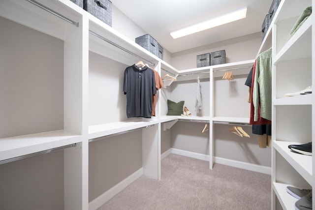 1102 Callaway Dr, Lebanon, TN 37087 - walk in closet with carpet flooring