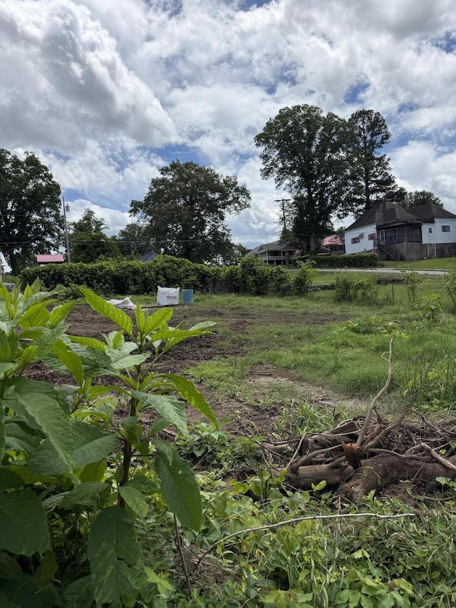 4216 Cain Ave, Chattanooga, TN 37410 - view of yard