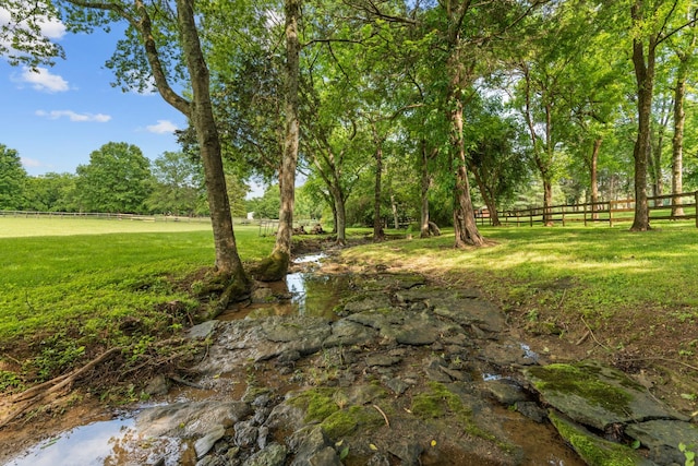 1010 Saint Blaise Trl, Gallatin, TN 37066 - view of yard