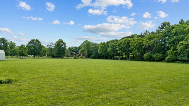 1010 Saint Blaise Trl, Gallatin, TN 37066 - view of green lawn
