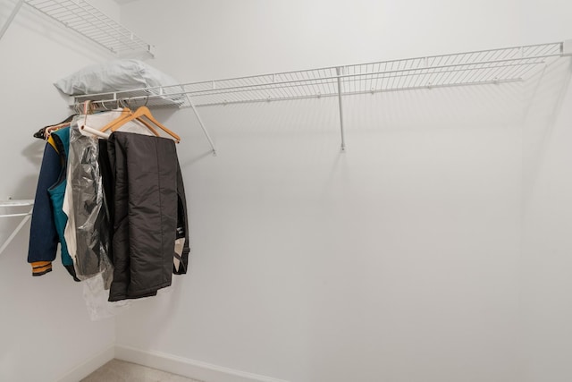 1010 Saint Blaise Trl, Gallatin, TN 37066 - view of spacious closet