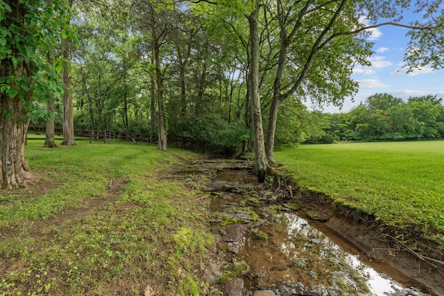 1010 Saint Blaise Trl, Gallatin, TN 37066 - view of grassy yard