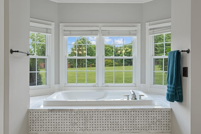 1010 Saint Blaise Trl, Gallatin, TN 37066 - full bath featuring plenty of natural light and a garden tub