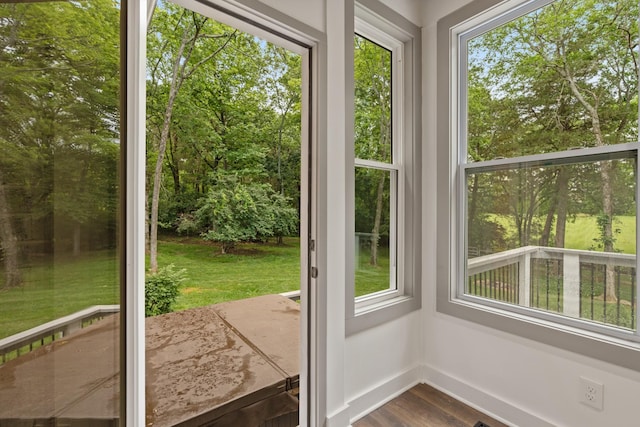 1010 Saint Blaise Trl, Gallatin, TN 37066 - entryway featuring dark wood-style flooring and plenty of natural light