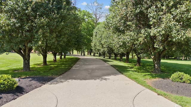 1010 Saint Blaise Trl, Gallatin, TN 37066 - view of home's community featuring a yard and asphalt driveway