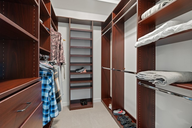 1010 Saint Blaise Trl, Gallatin, TN 37066 - spacious closet with carpet floors