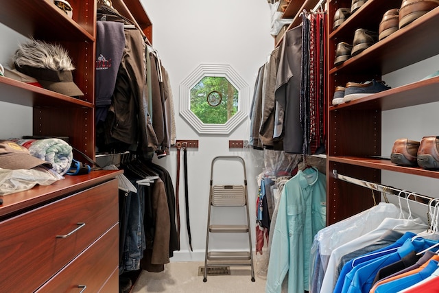 1010 Saint Blaise Trl, Gallatin, TN 37066 - walk in closet with carpet floors