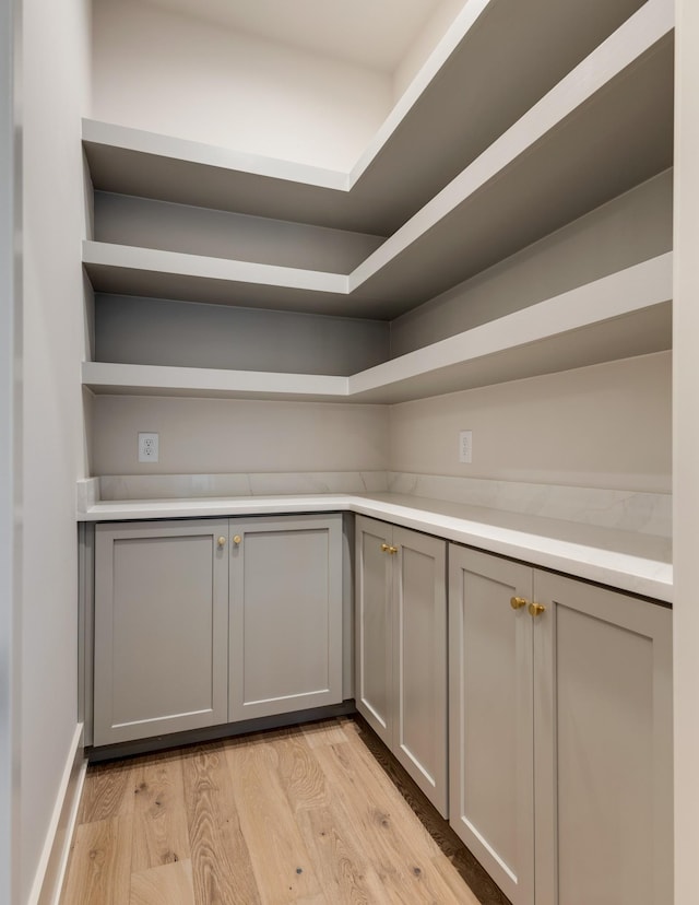 2756 Otterham Dr, Thompsons Station, TN 37179 - view of storage area