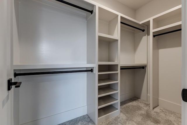 2756 Otterham Dr, Thompsons Station, TN 37179 - walk in closet featuring carpet floors
