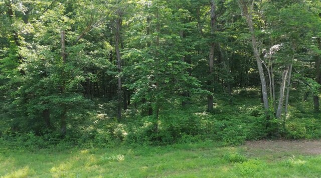 0 Owl Cir, Hurricane Mills, TN 37078 - photo 13