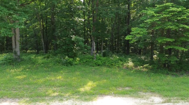 0 Owl Cir, Hurricane Mills, TN 37078 - photo 11