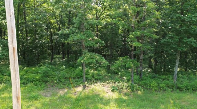 0 Owl Cir, Hurricane Mills, TN 37078 - photo 15