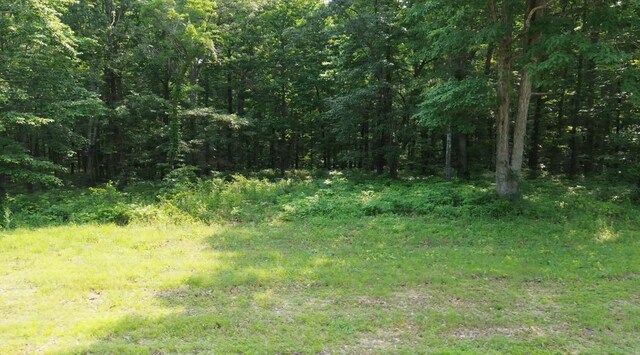 0 Owl Cir, Hurricane Mills, TN 37078 - photo 12