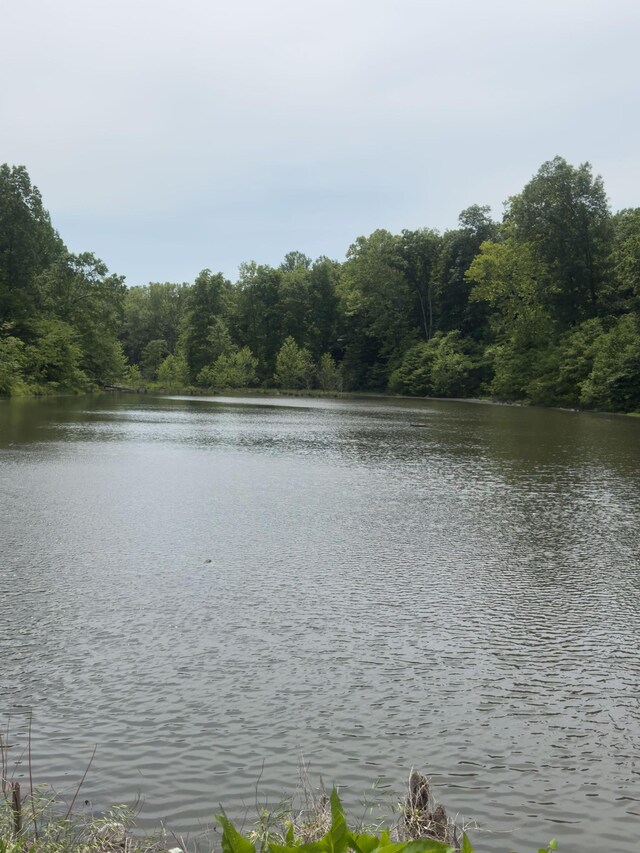0 Owl Cir, Hurricane Mills, TN 37078 - photo 17